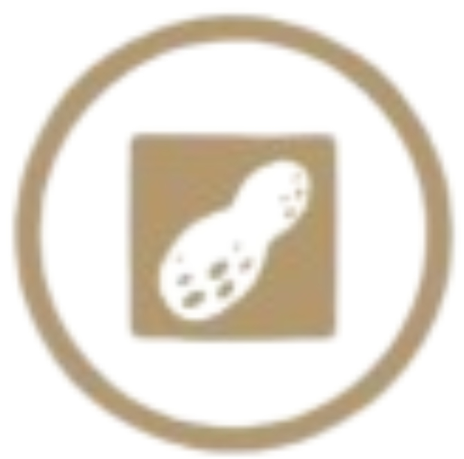 Gluten